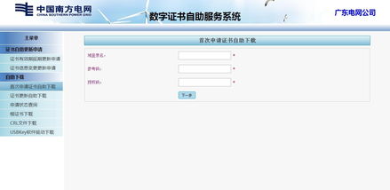 南方电网证书自助服务系统与专业软件外包服务平台