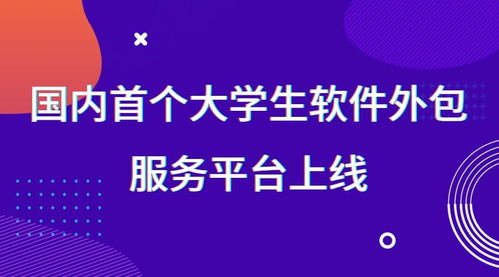 国内首个大学生软件外包服务平台正式上线，赋能创新实践与技术人才培养