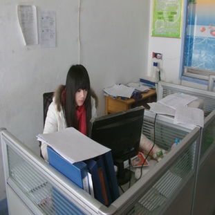 青岛职业技术学院软件与服务外包学院 软件外包服务的产教融合典范